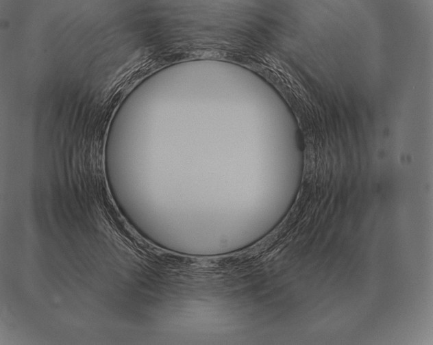 X0000087370696200705181217