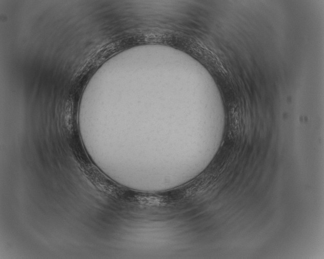 X0000087370698200705181217