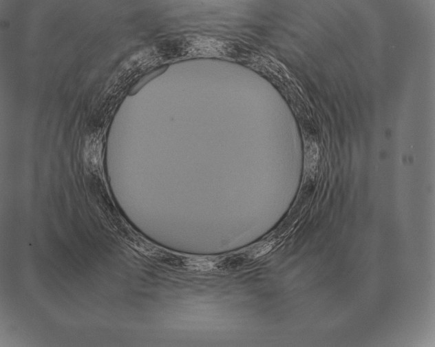 X0000087370701200705181217