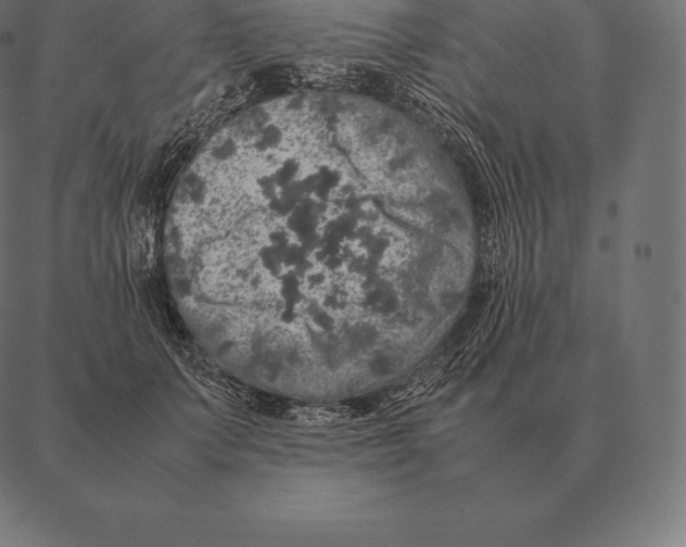 X0000087370703200705181217