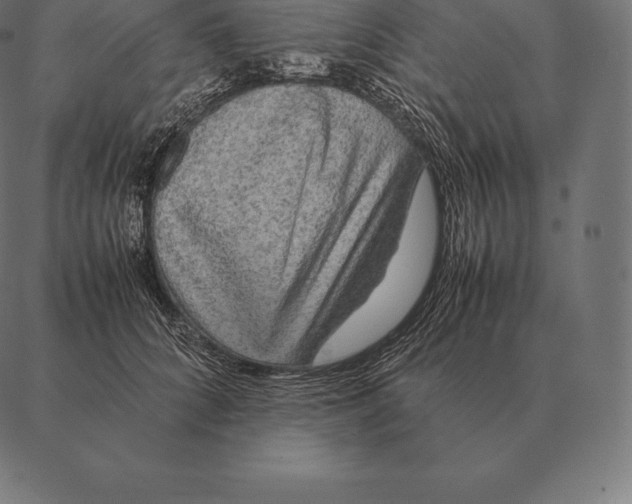 X0000087370704200705181217