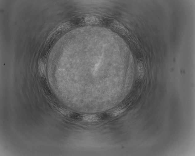 X0000087370705200705181217