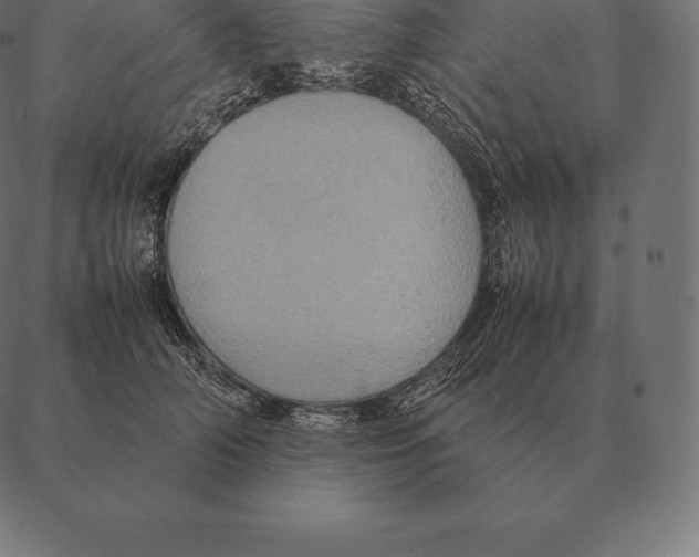 X0000087370706200705181217