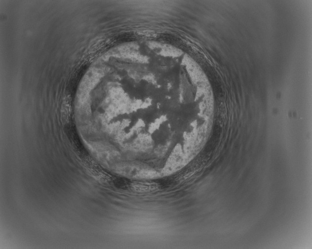 X0000087370707200705181217