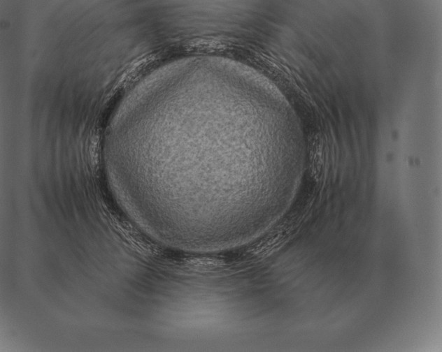 X0000087370708200705181217