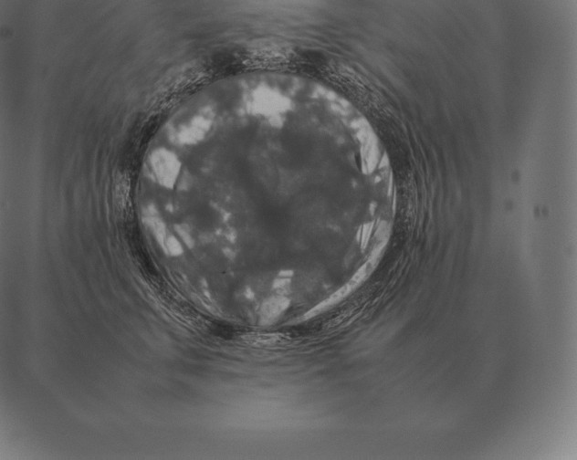 X0000087370711200705181217