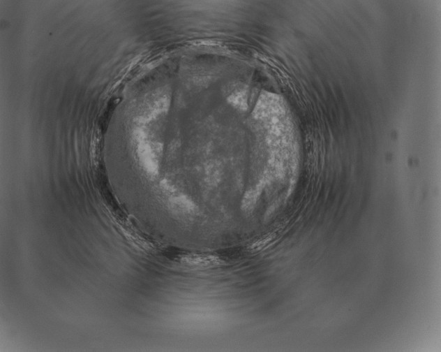 X0000087370712200705181217