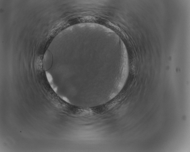 X0000087370715200705181216