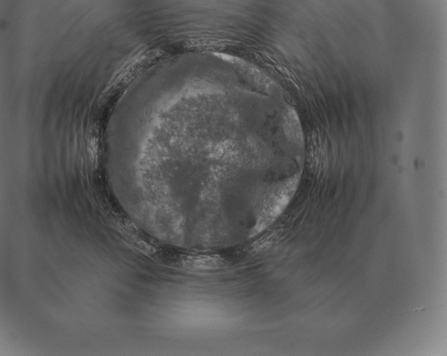 X0000087370716200705181216