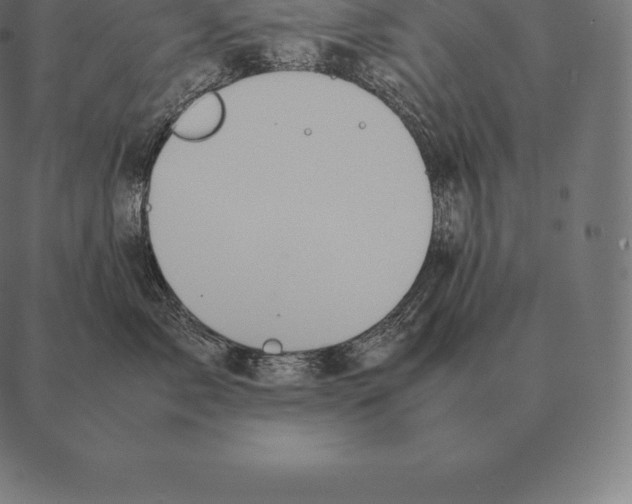 X0000087370717200705181216