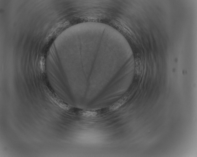 X0000087370718200705181216