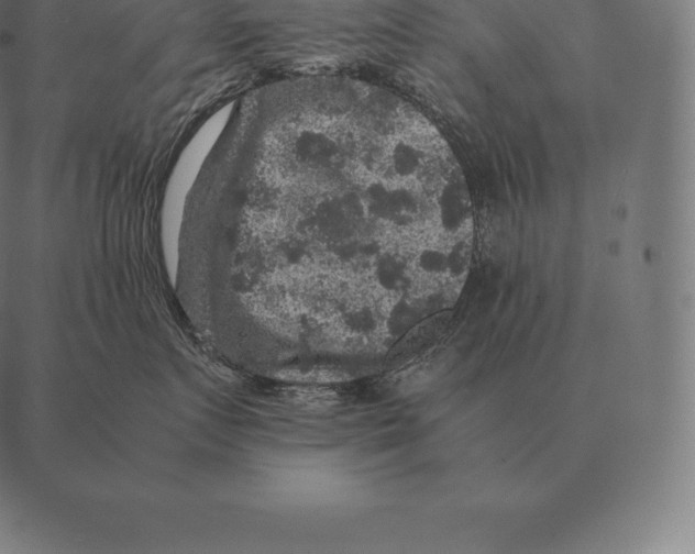 X0000087370719200705181216