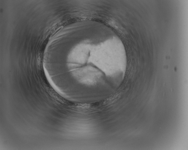 X0000087370720200705181216