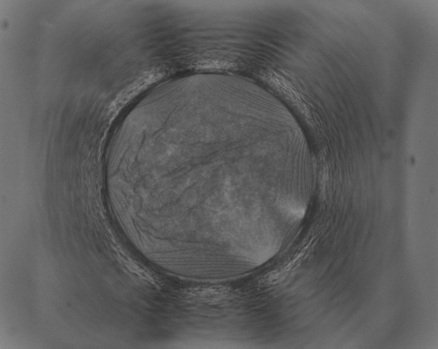 X0000087370721200705181216