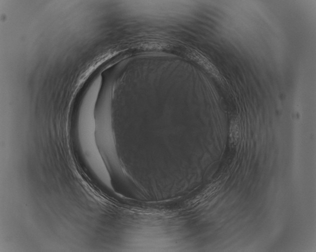 X0000087370722200705181216