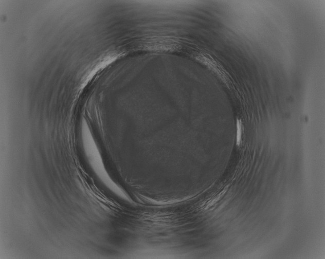 X0000087370723200705181216