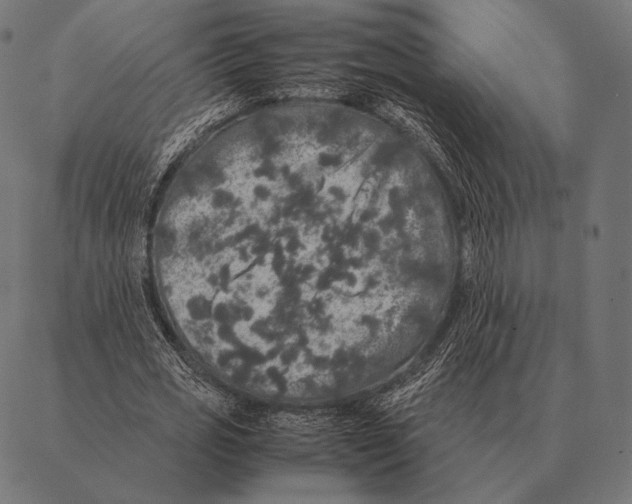 X0000087370725200705181216