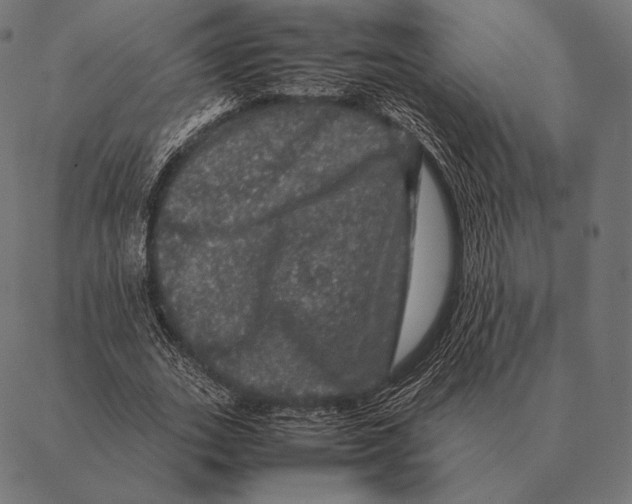 X0000087370727200705181216