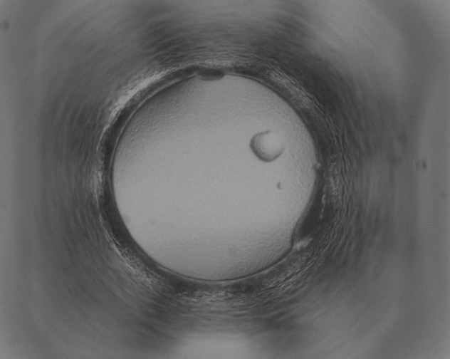 X0000087370728200705181216