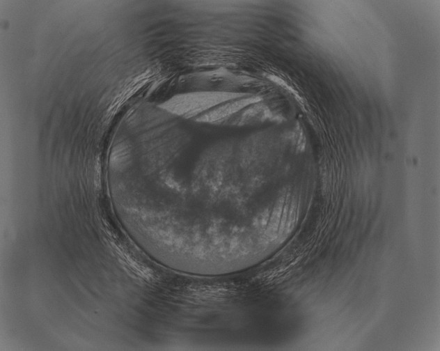 X0000087370729200705181216