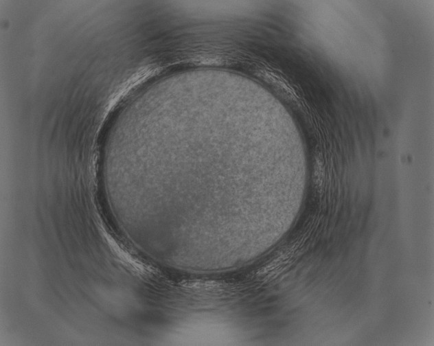 X0000087370730200705181216