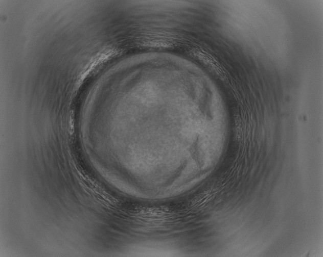 X0000087370731200705181216