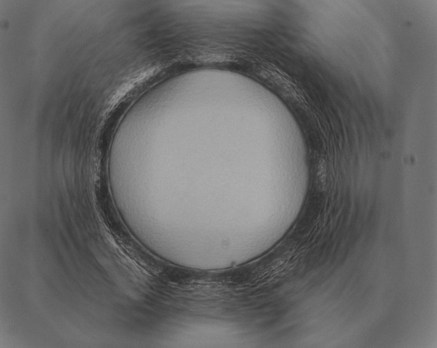 X0000087370732200705181216