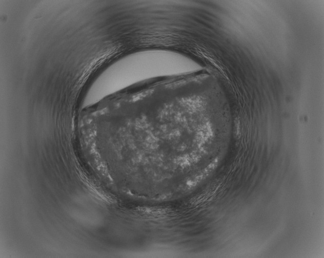 X0000087370733200705181216