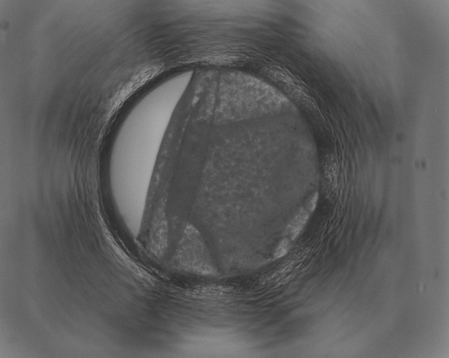 X0000087370734200705181216