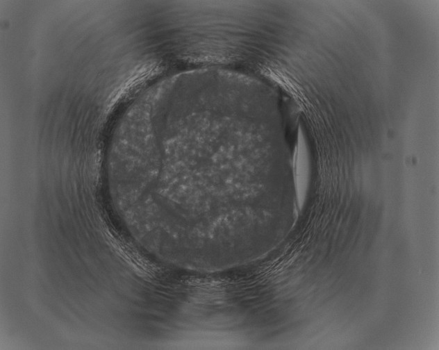 X0000087370735200705181216