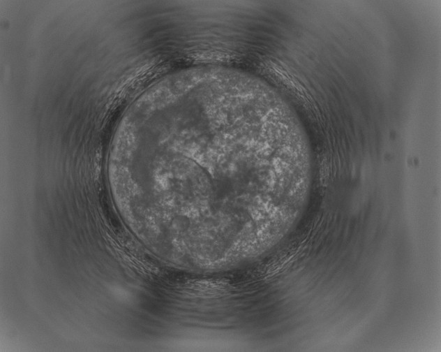 X0000087370737200705181216