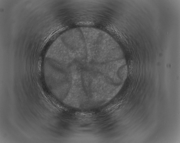 X0000087370739200705181216