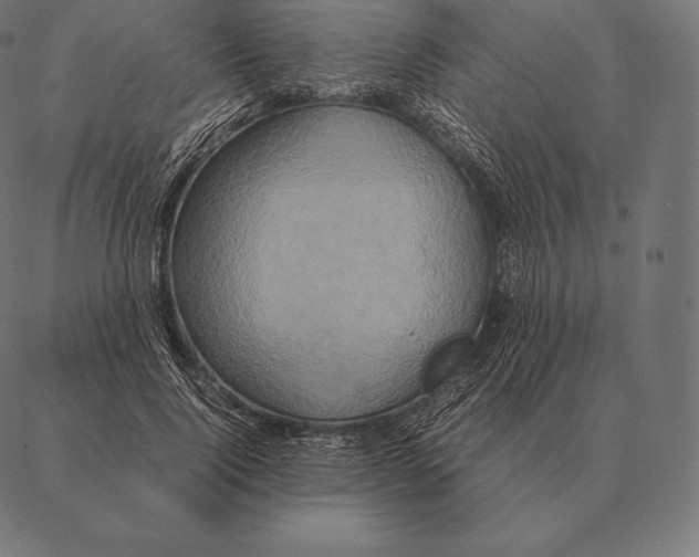 X0000087370740200705181216