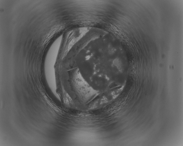 X0000087370742200705181216