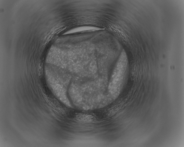 X0000087370743200705181216