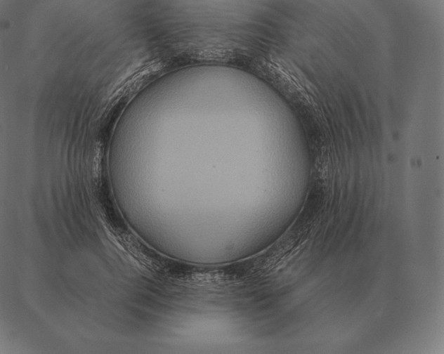 X0000087370744200705181216