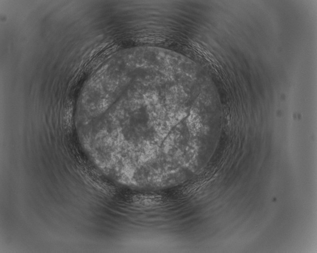 X0000087370745200705181216