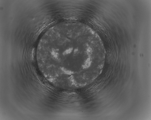 X0000087370747200705181216