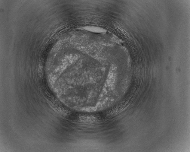 X0000087370749200705181216