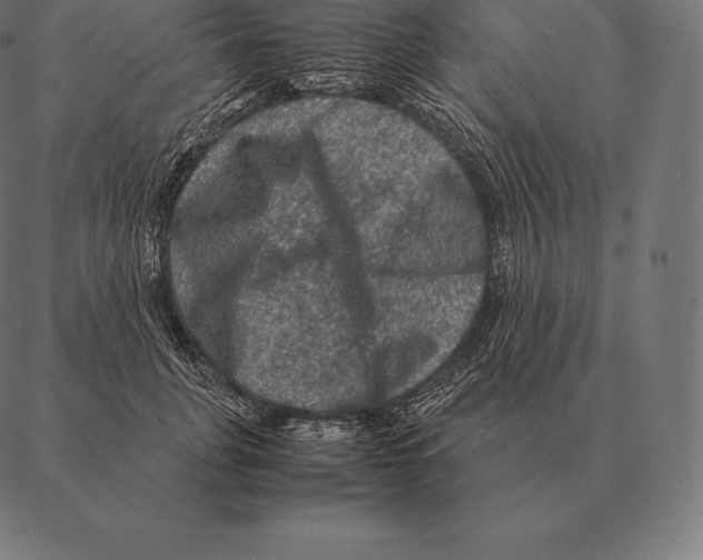 X0000087370751200705181216