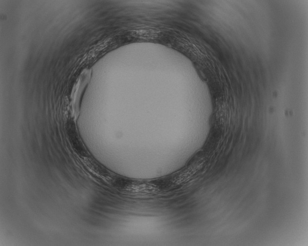 X0000087370752200705181216