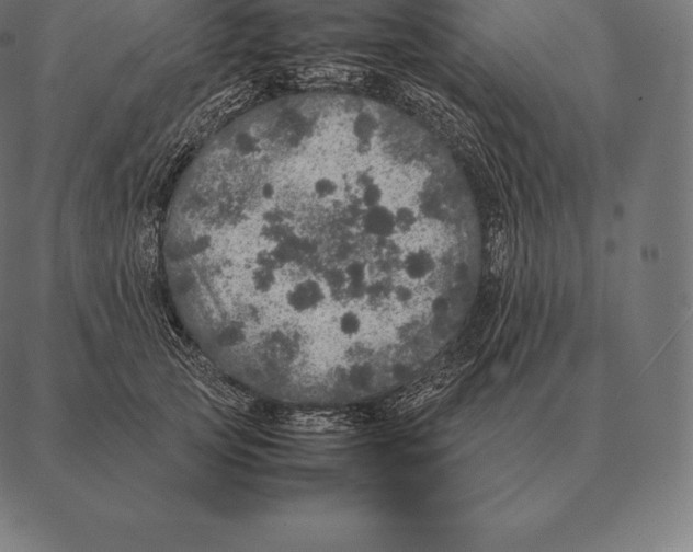 X0000087370753200705181216