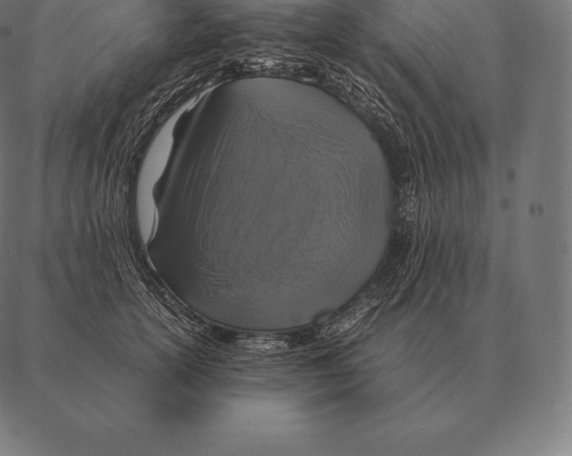 X0000087370754200705181216