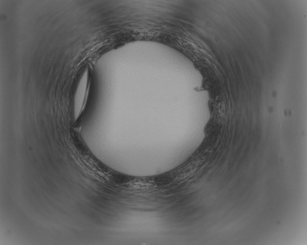 X0000087370756200705181216