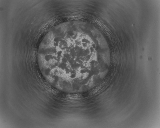 X0000087370757200705181216