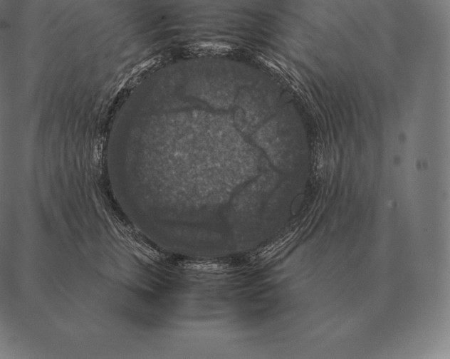 X0000087370759200705181216