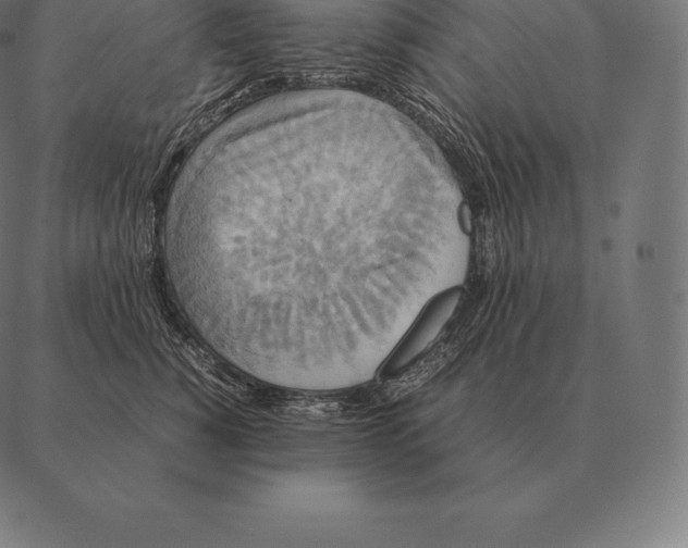 X0000087370760200705181216