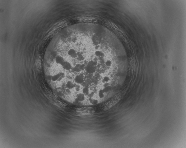 X0000087370761200705181216