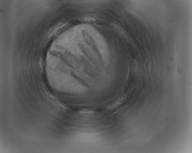 X0000087370762200705181216