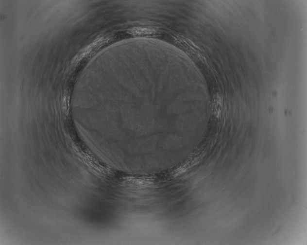 X0000087370763200705181216